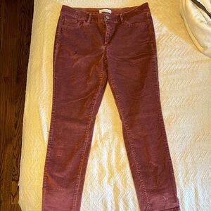 LOFT Women's Ankle Pants in Rust